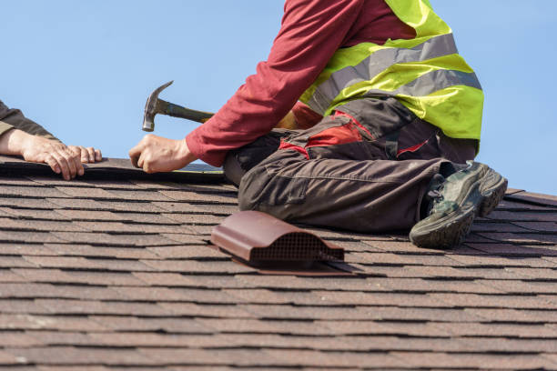 Best Sealant for Roof  in Bridgman, MI