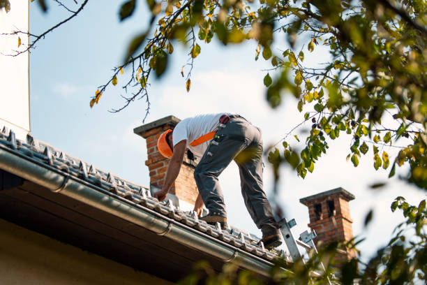 Best Flat Roof Repair Services  in Bridgman, MI