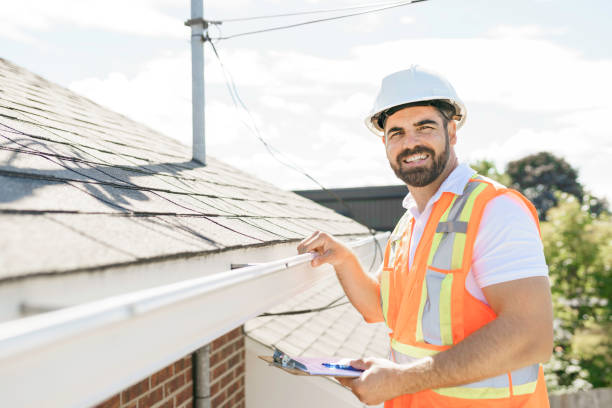 Best Roof Gutter Cleaning  in Bridgman, MI