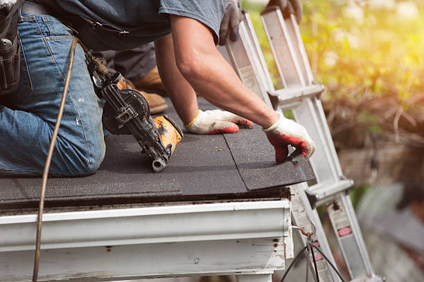 Best Roof Repair Services  in Bridgman, MI