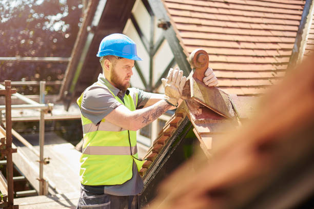 Best Roof Replacement Cost  in Bridgman, MI