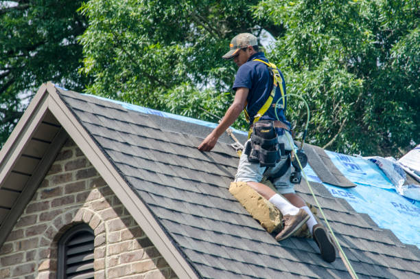 Sealant for Roof in Bridgman, MI